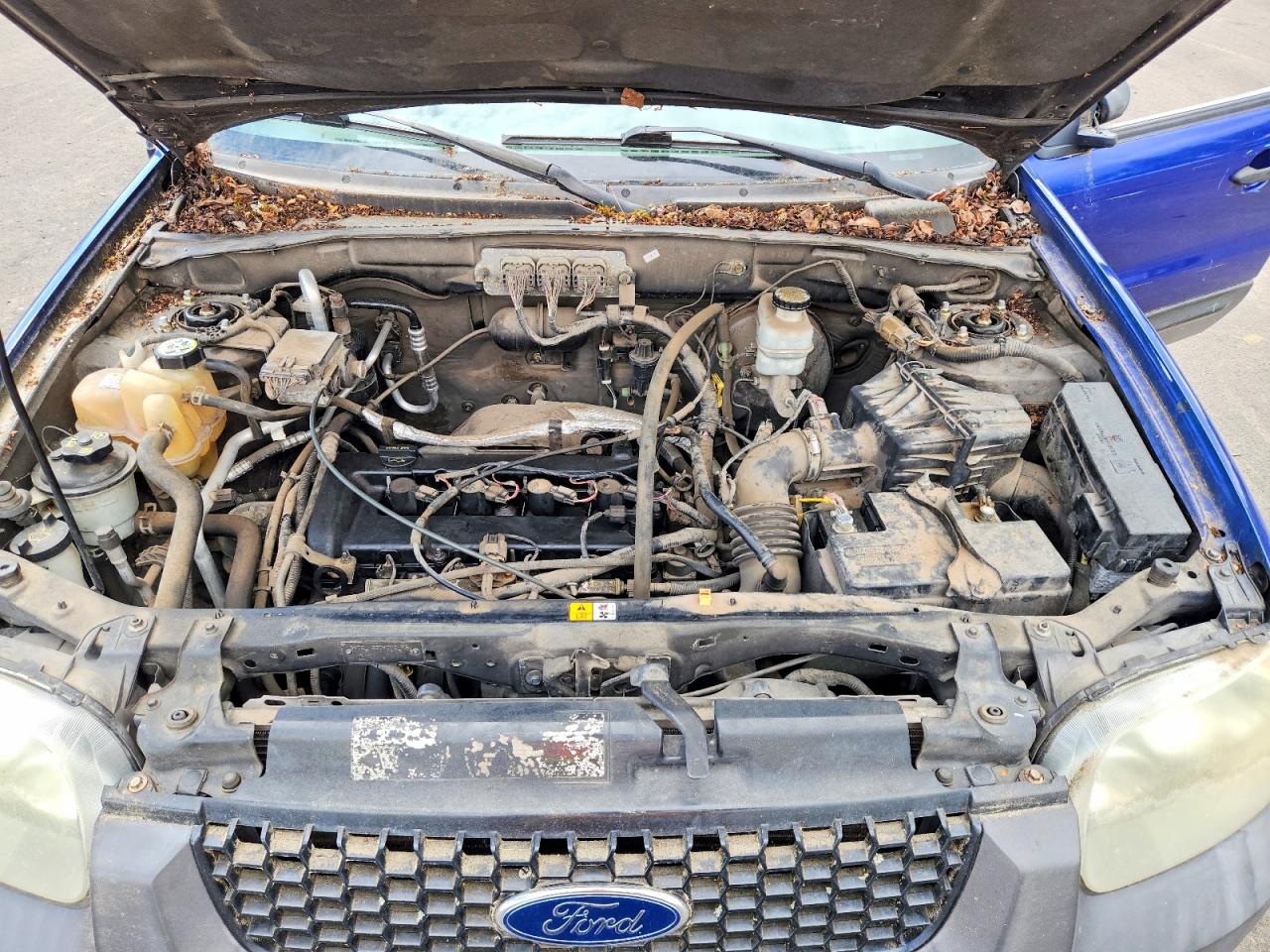 Ford Escape Xls