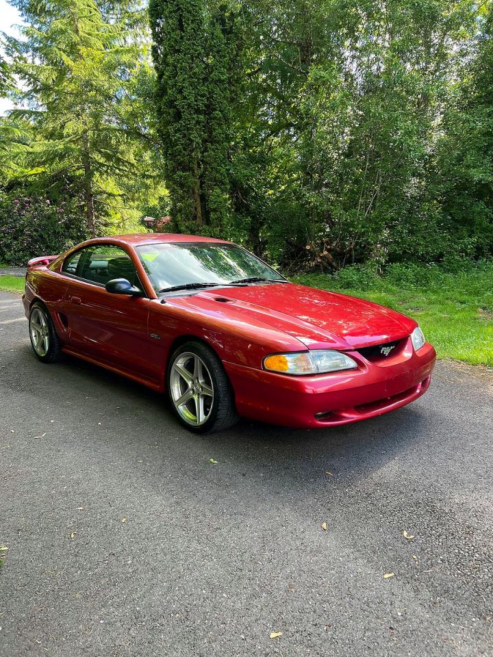 Salvage Ford Mustang Image