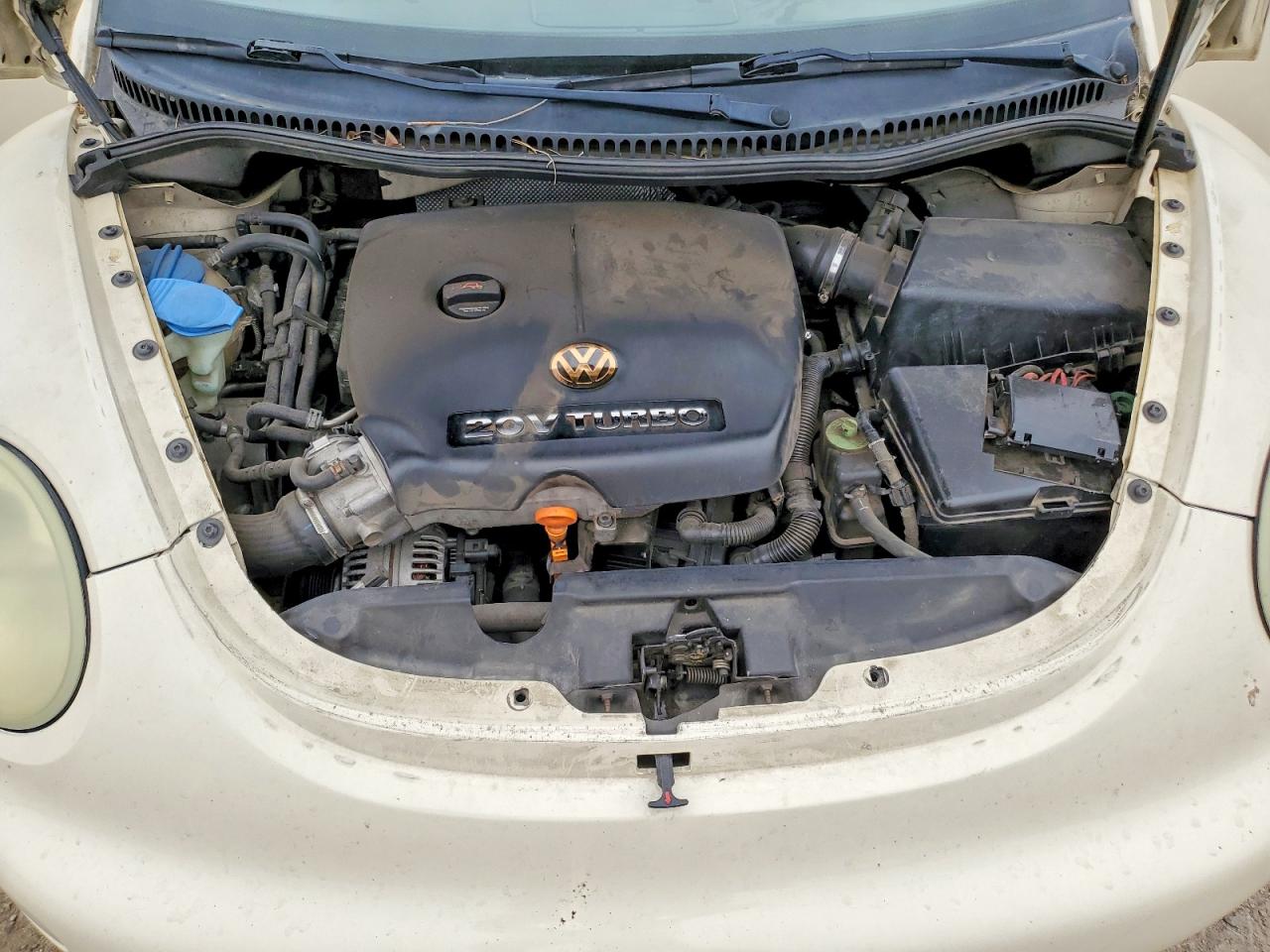 Volkswagen Beetle Gls