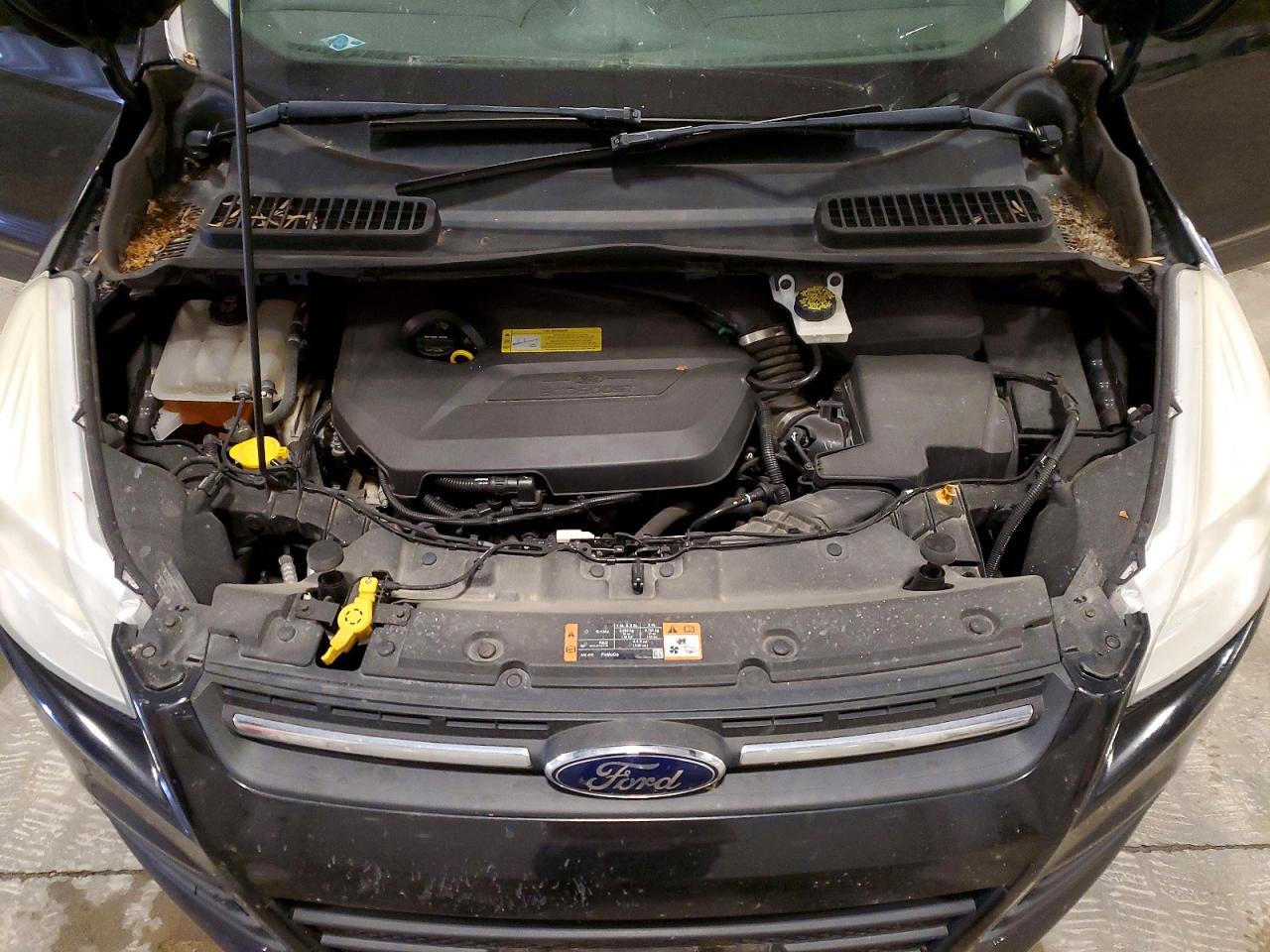 Ford Escape