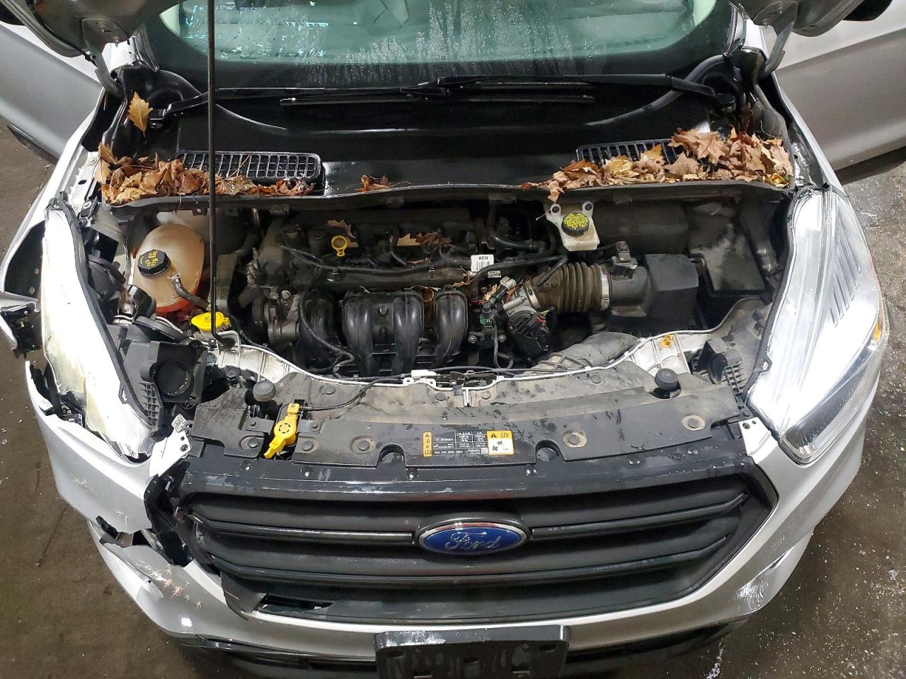 Ford Escape S