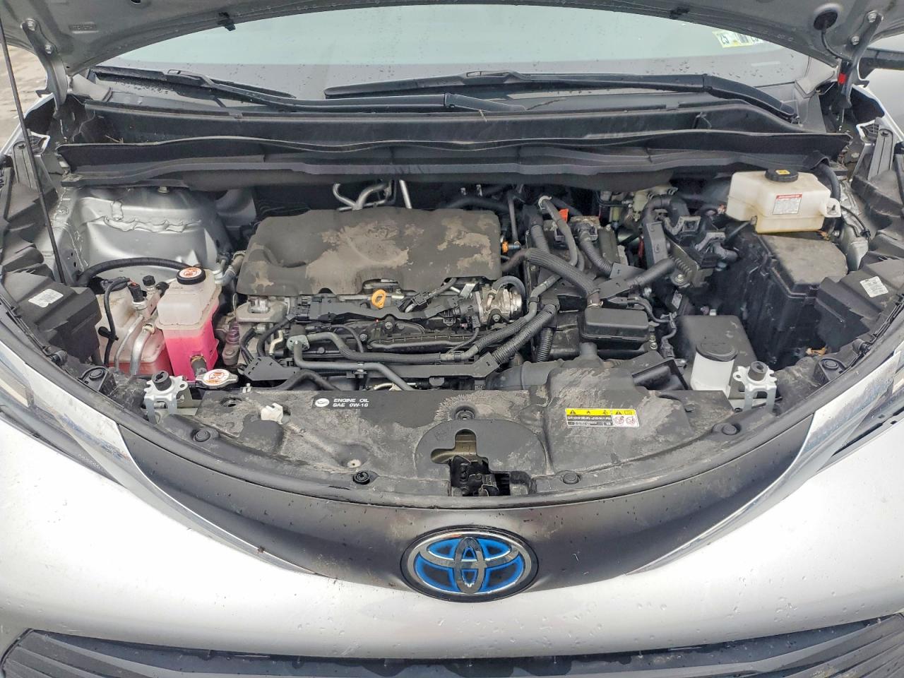 Toyota Sienna Xle 7-passenger