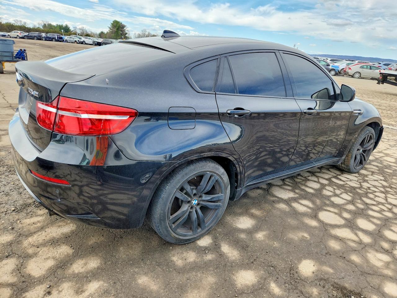 BMW X Series M