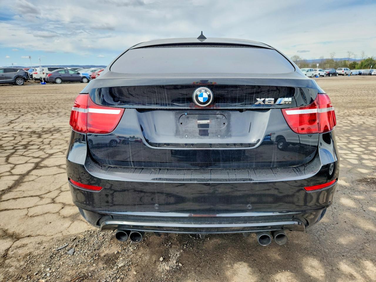 BMW X Series M