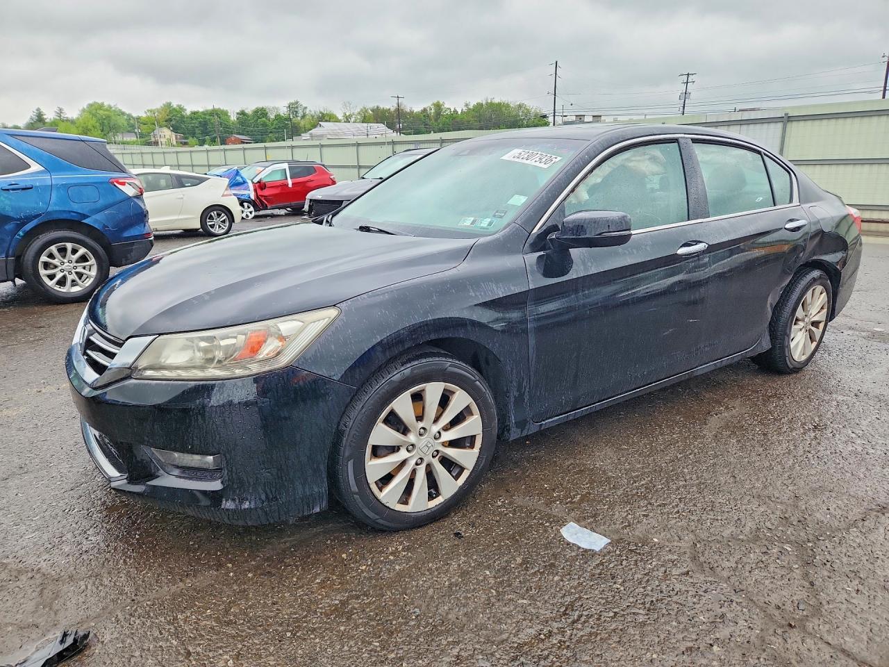 Salvage Honda Accord Image