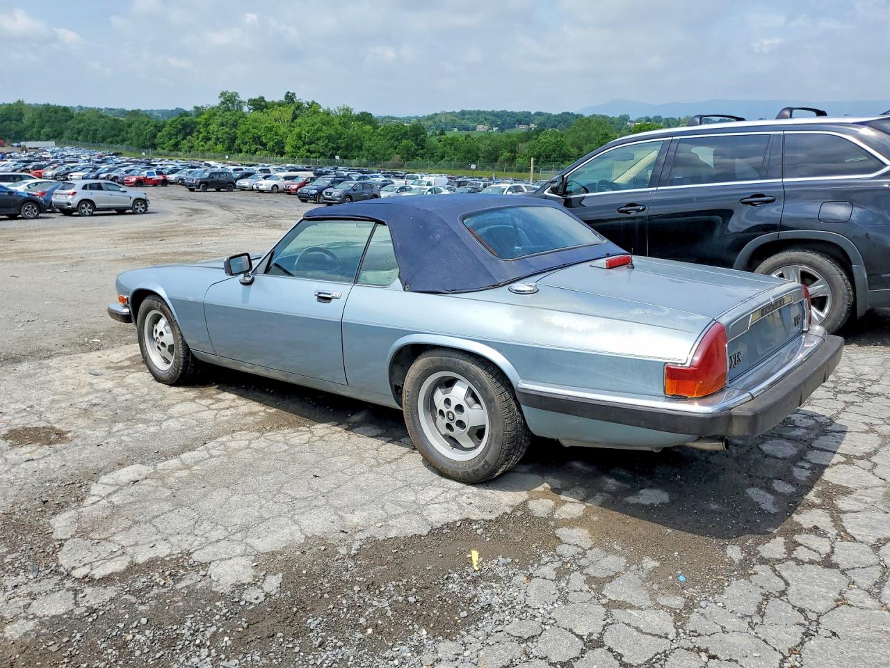 Jaguar Xjs