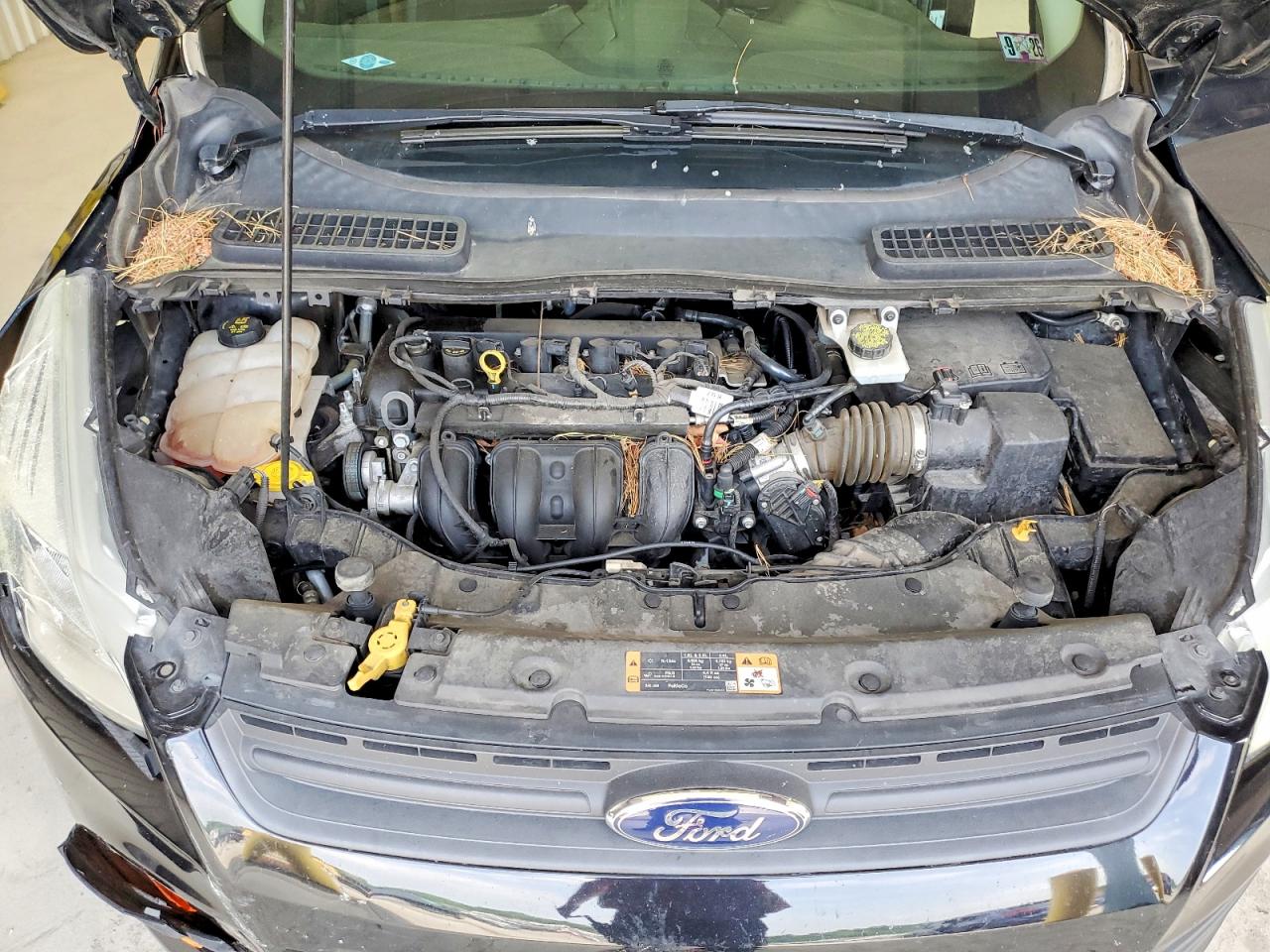 Ford Escape S