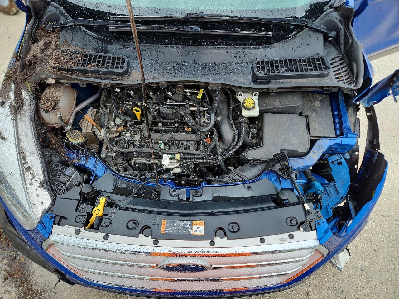 Ford Escape Sel