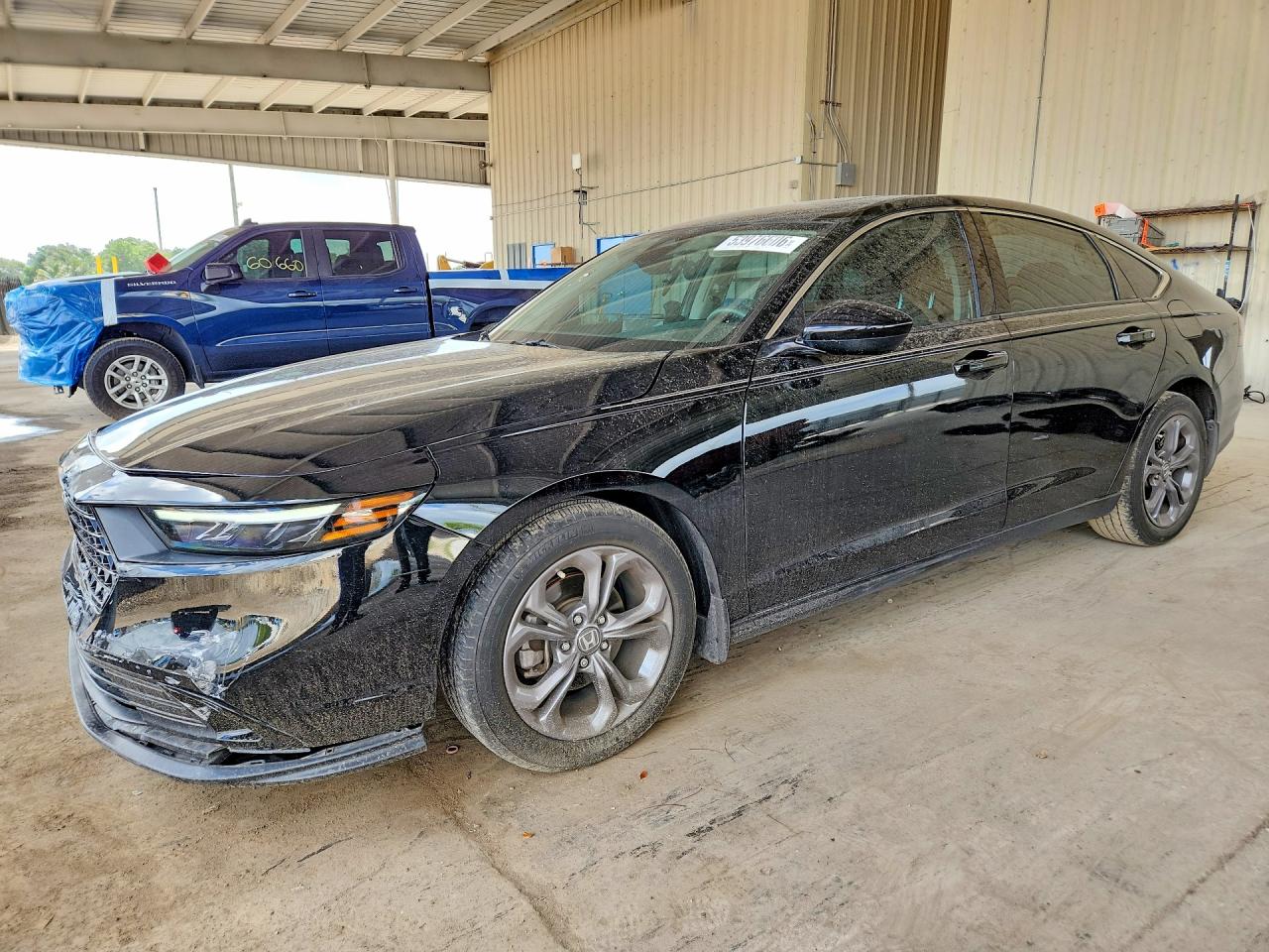 Salvage Honda Accord Image