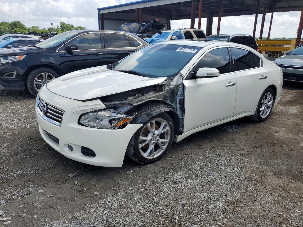 Salvage Nissan Maxima Image