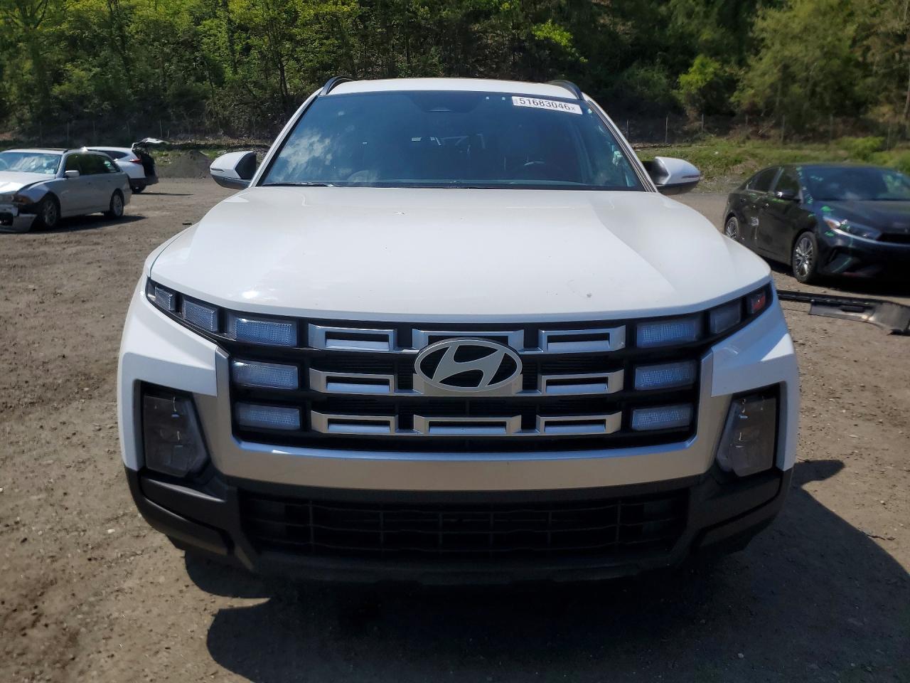 Hyundai SANTA CRUZ Sel Activity