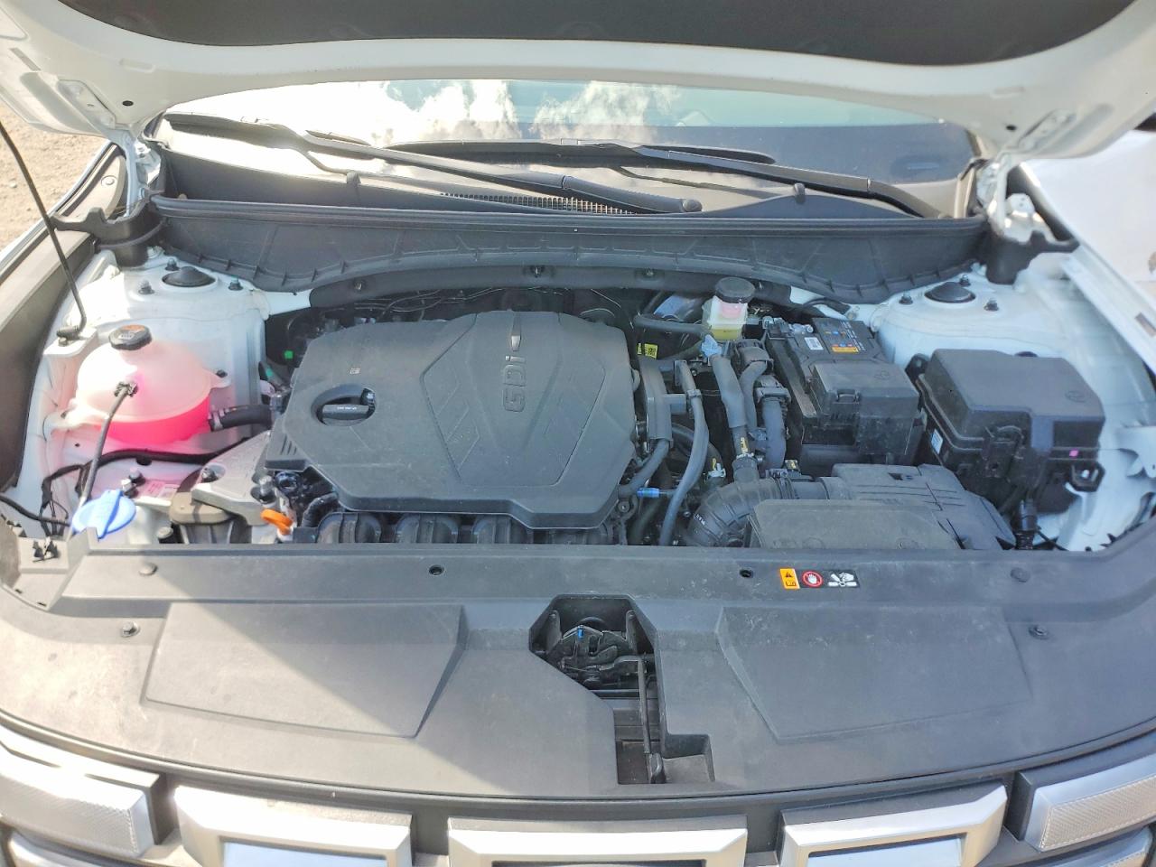 Hyundai SANTA CRUZ Sel Activity