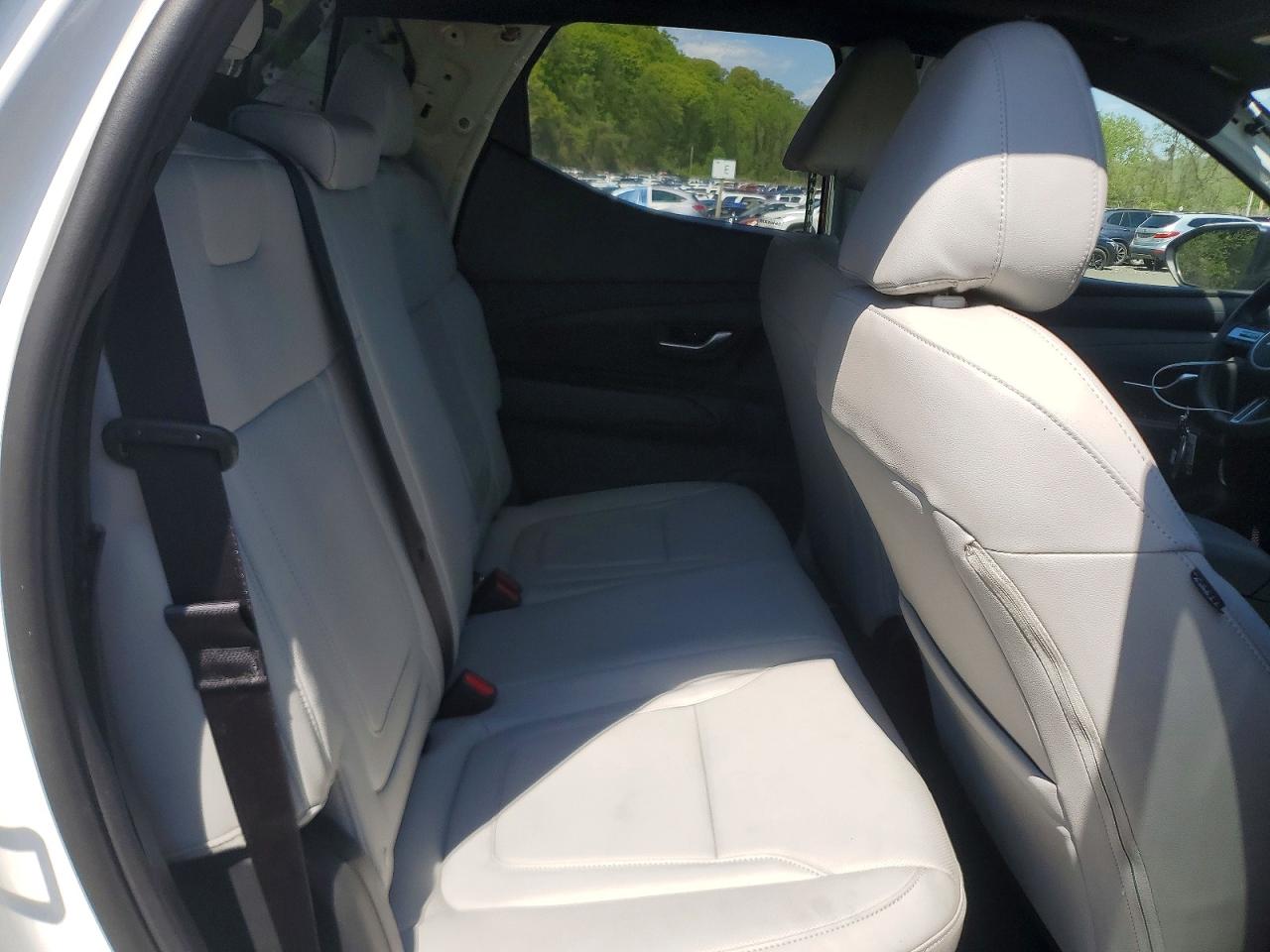 Hyundai SANTA CRUZ Sel Activity