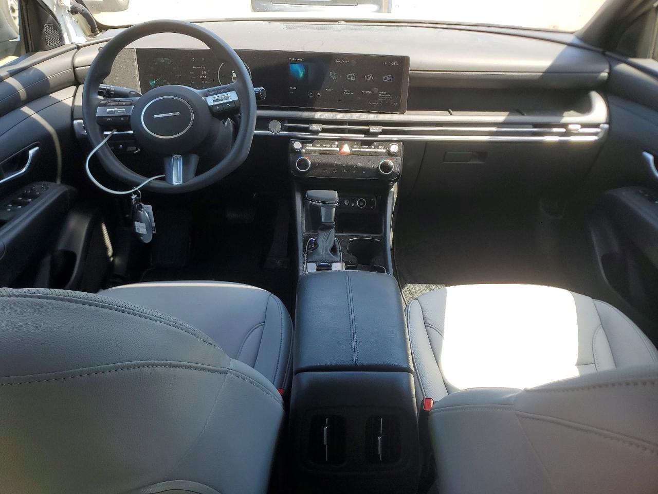 Hyundai SANTA CRUZ Sel Activity