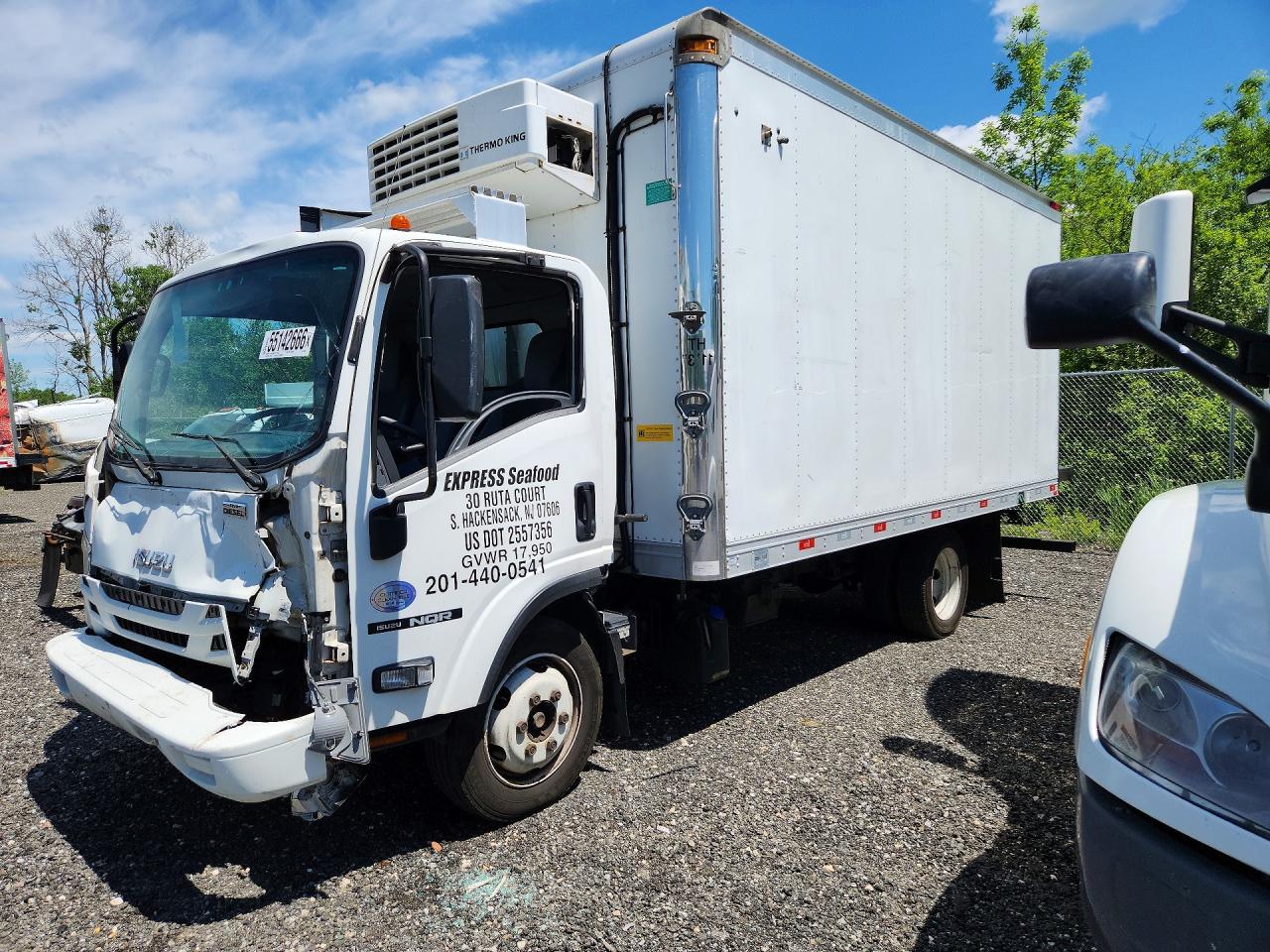 Salvage Isuzu Nqr Image