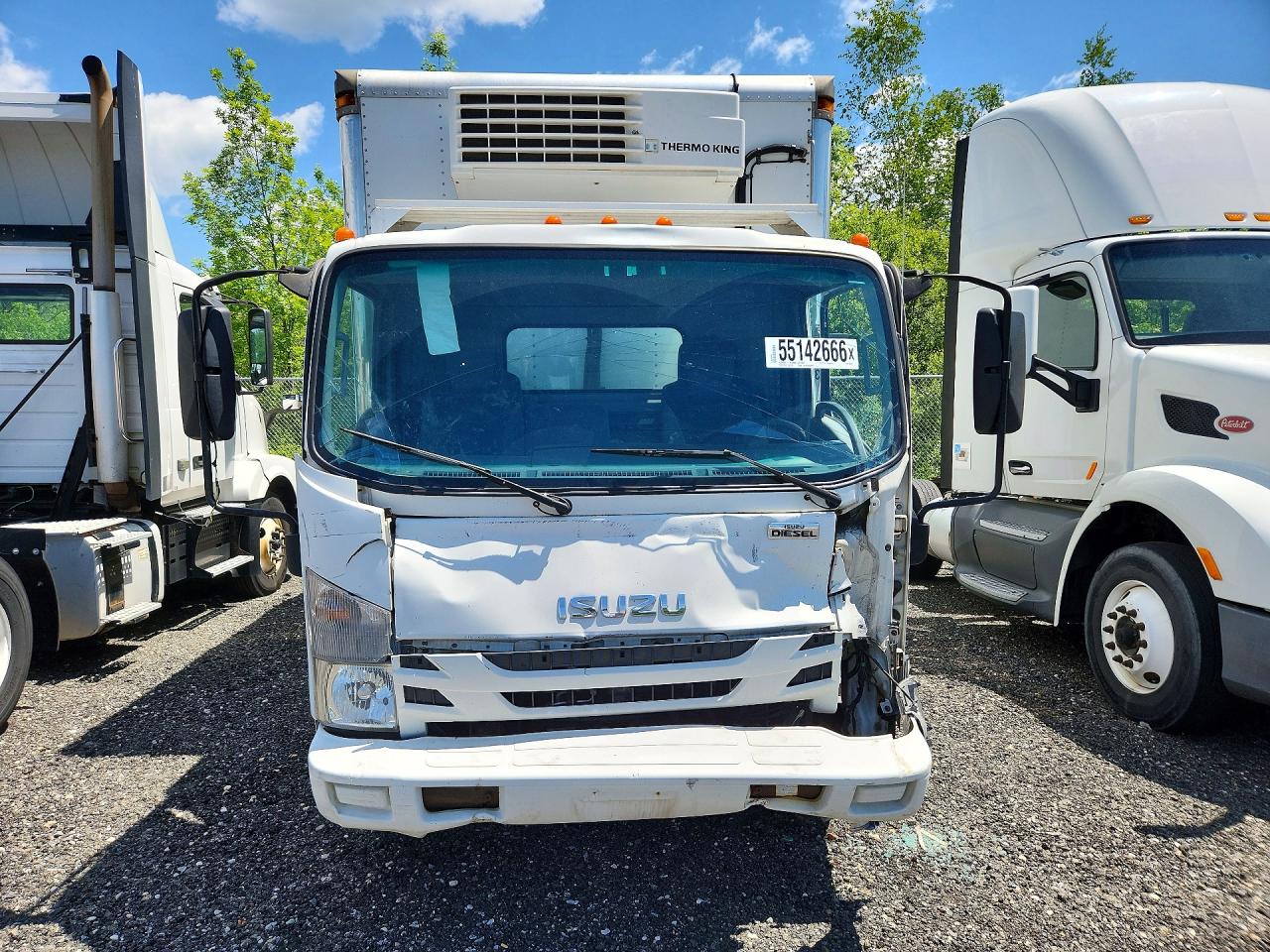 Isuzu Nqr
