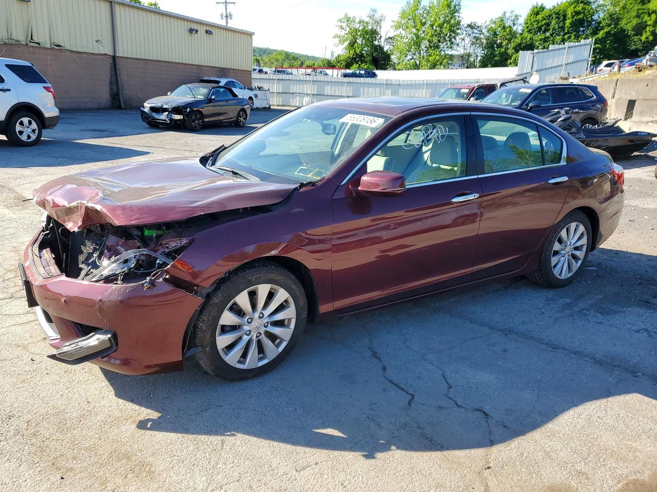Salvage Honda Accord Image