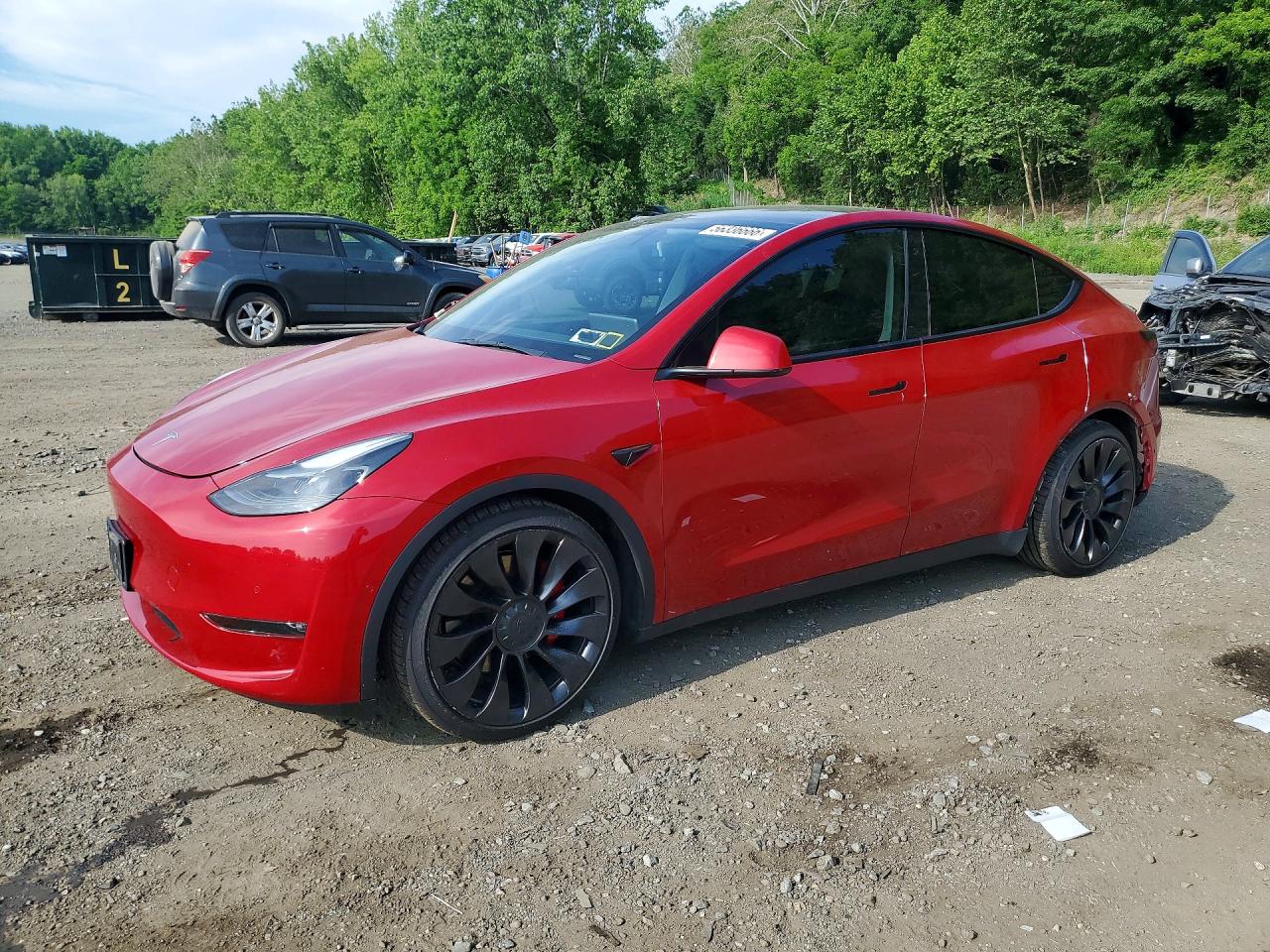 Salvage Tesla Model Y Image