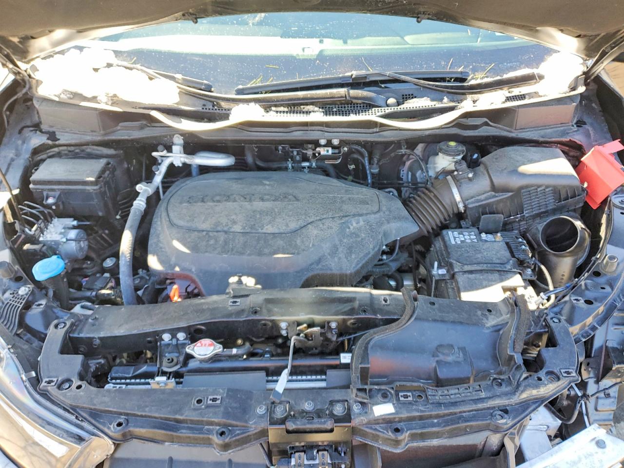 Honda Odyssey Elite