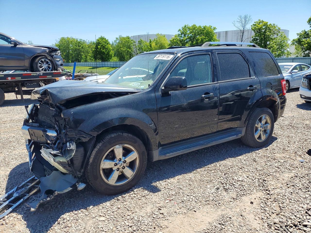 Salvage Ford Escape Image