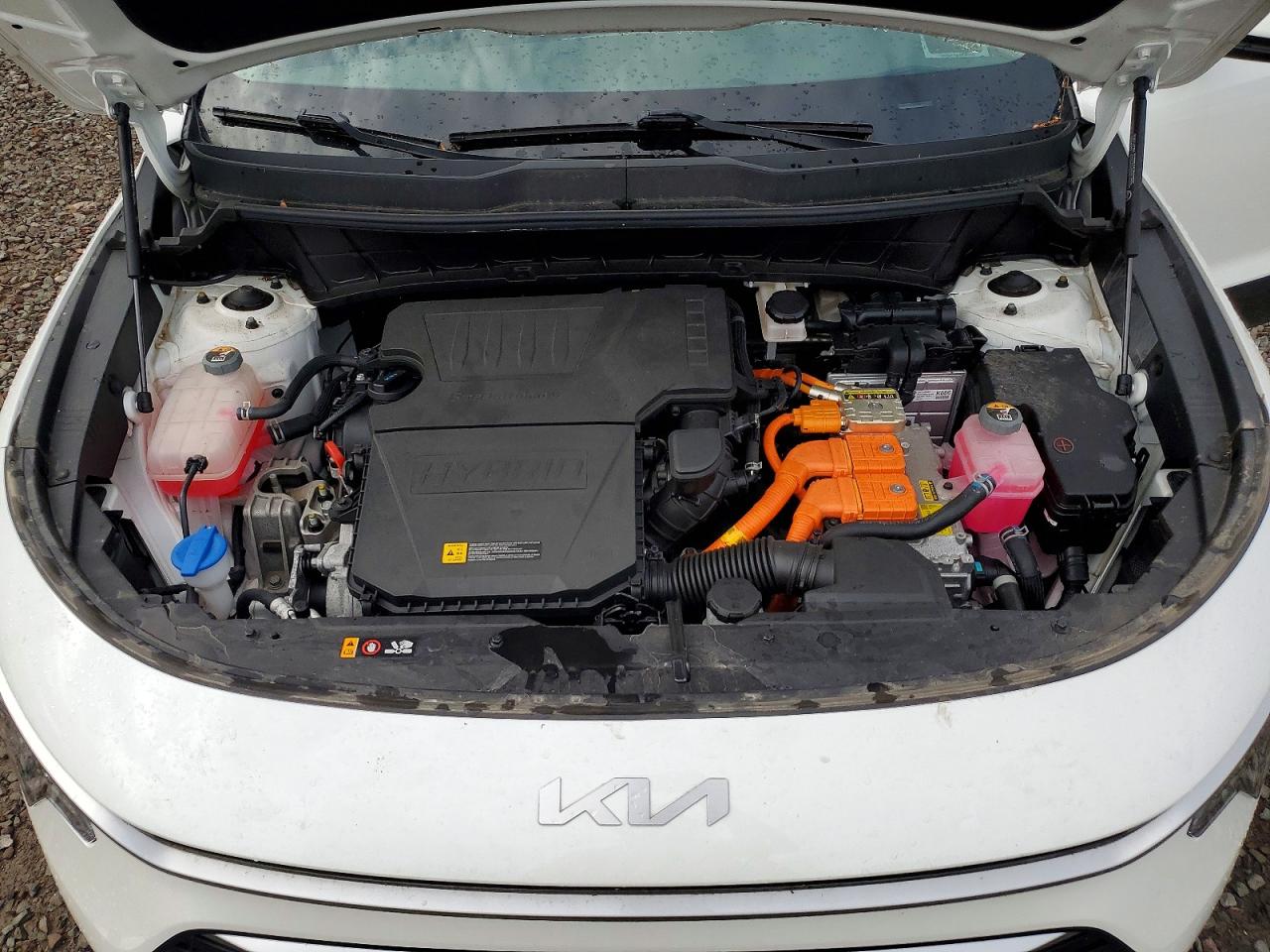 Kia Niro Lx