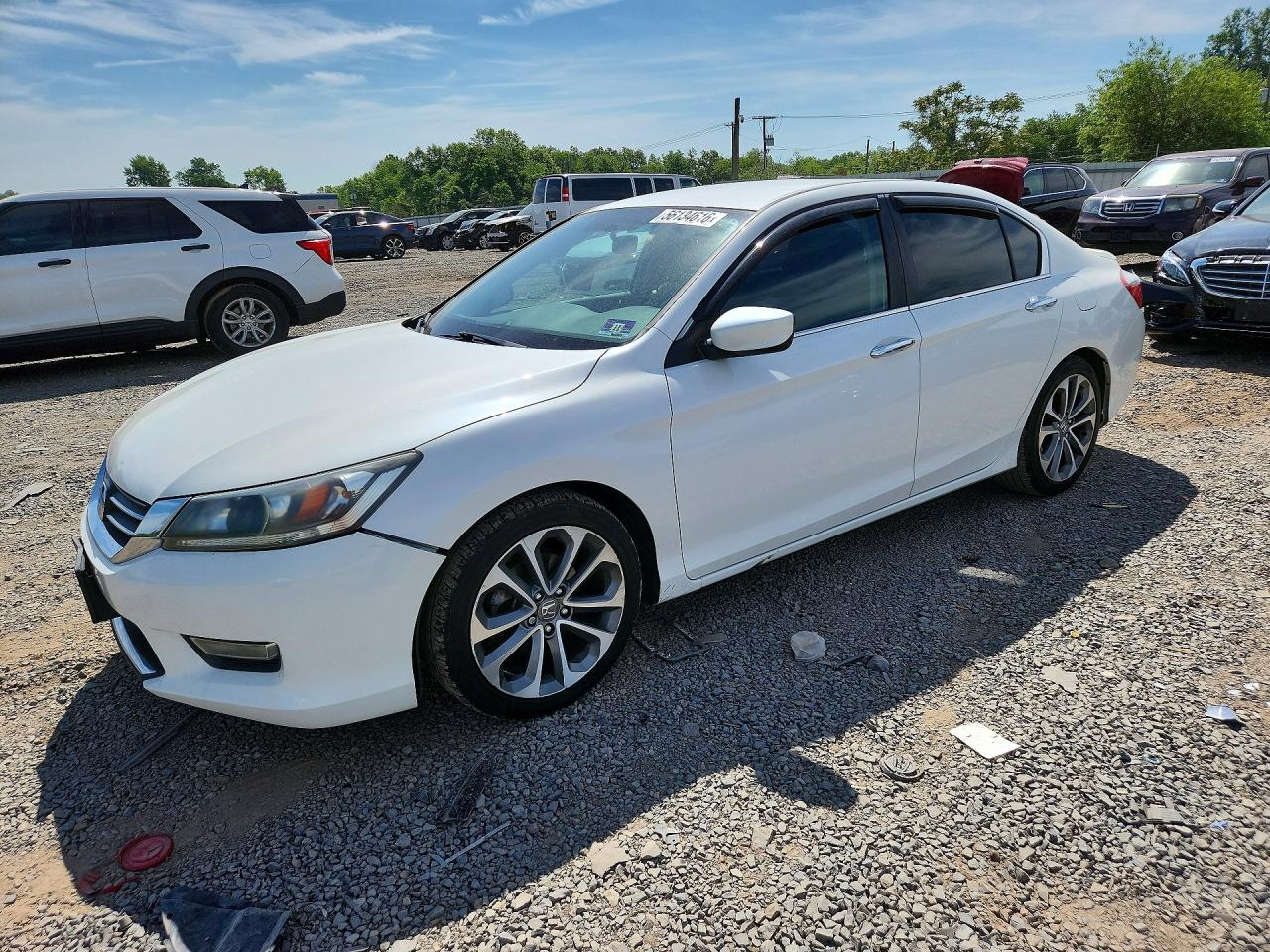 Salvage Honda Accord Image
