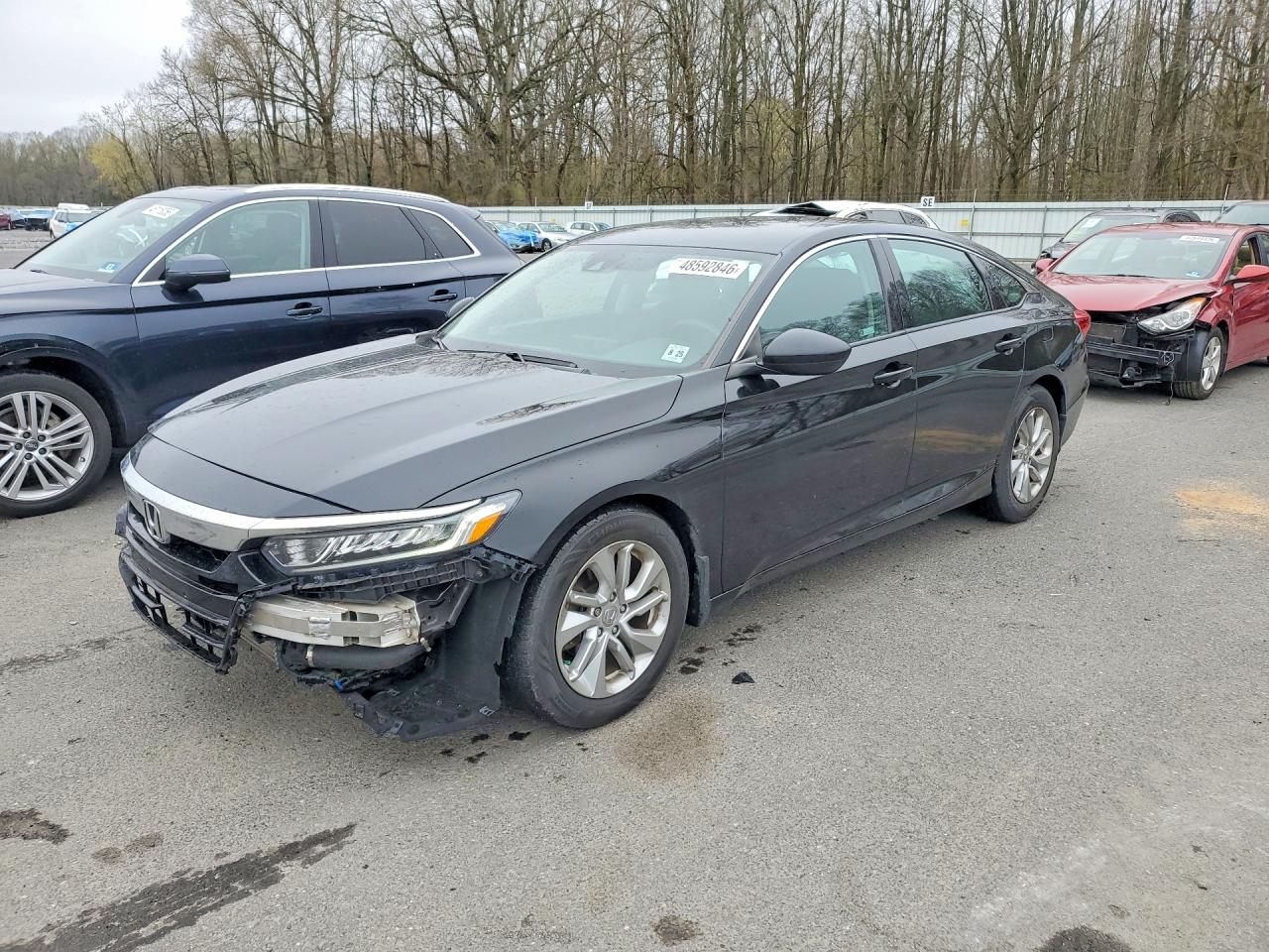 Salvage Honda Accord Image
