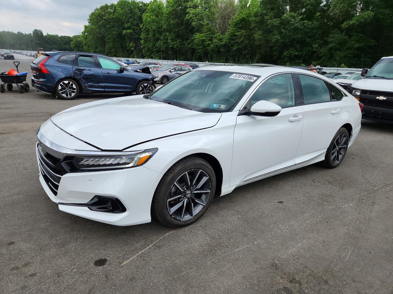 Salvage Honda Accord Image