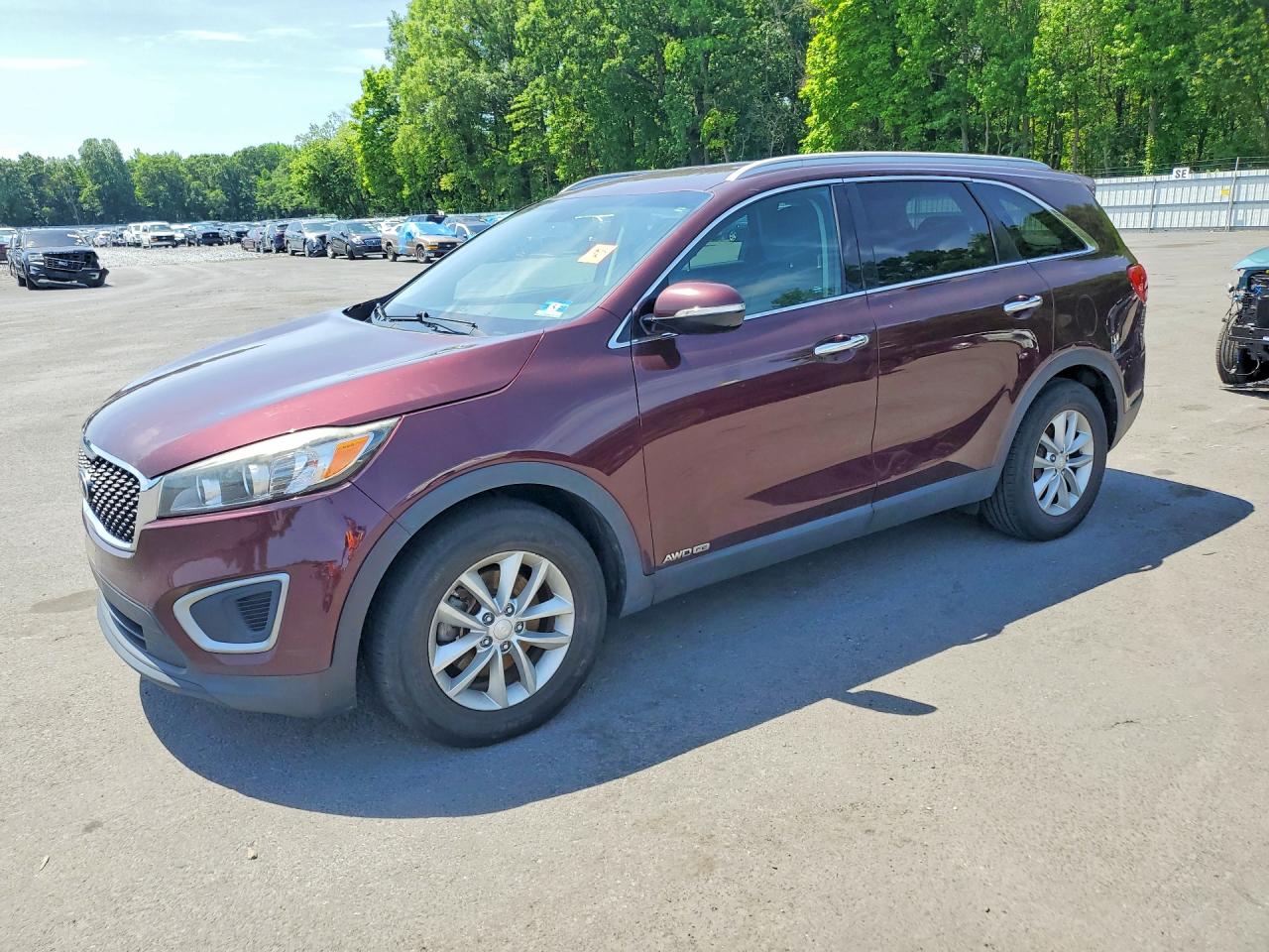 Salvage Kia Sorento Image