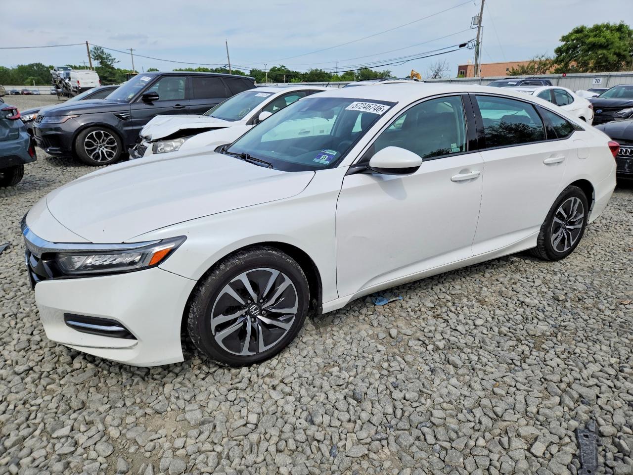 Salvage Honda Accord Image