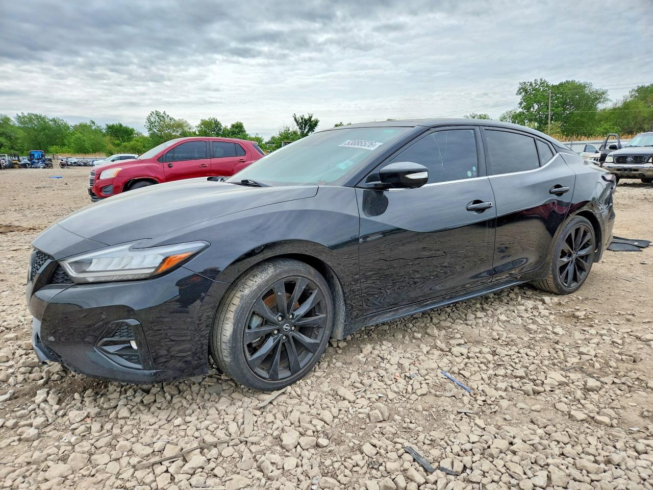 Salvage Nissan Maxima Image