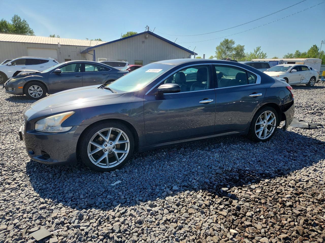 Salvage Nissan Maxima Image