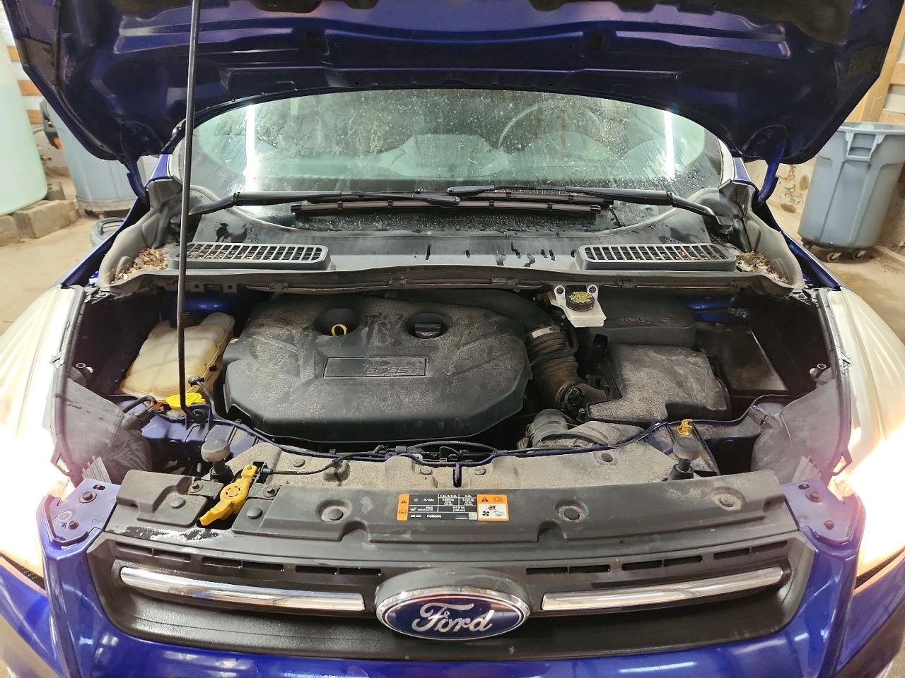 Ford Escape Se