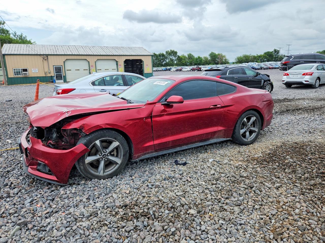 Salvage Ford Mustang Image