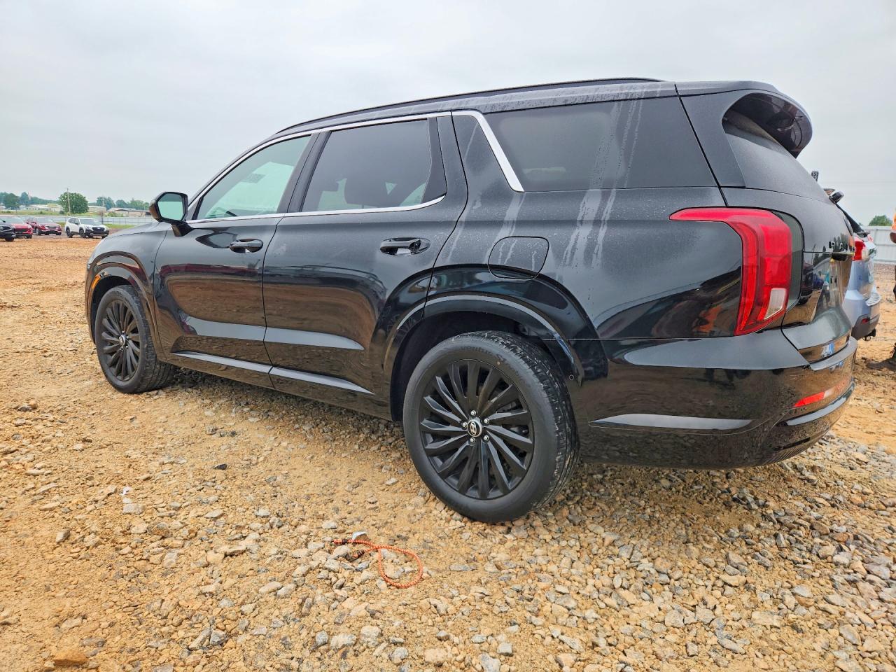 Hyundai PALISADE Calligraphy Night Edition