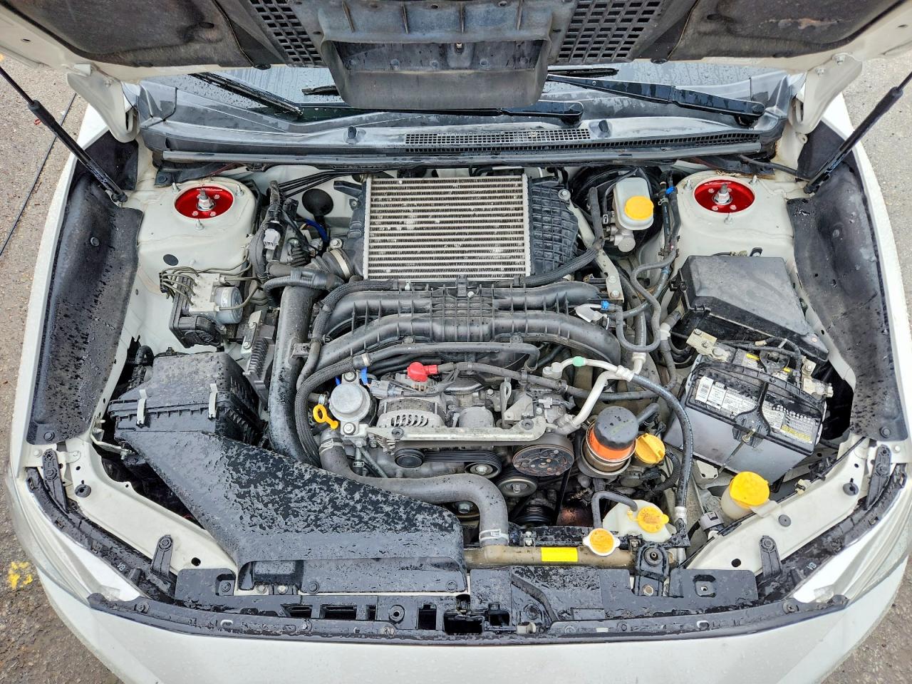 Subaru WRX