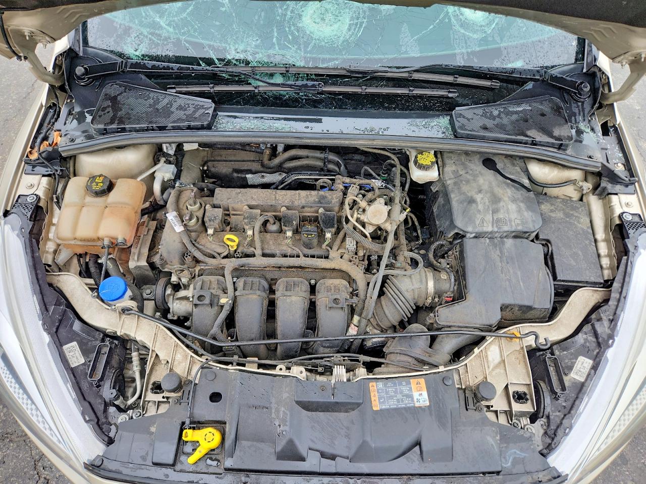 Ford Focus Se