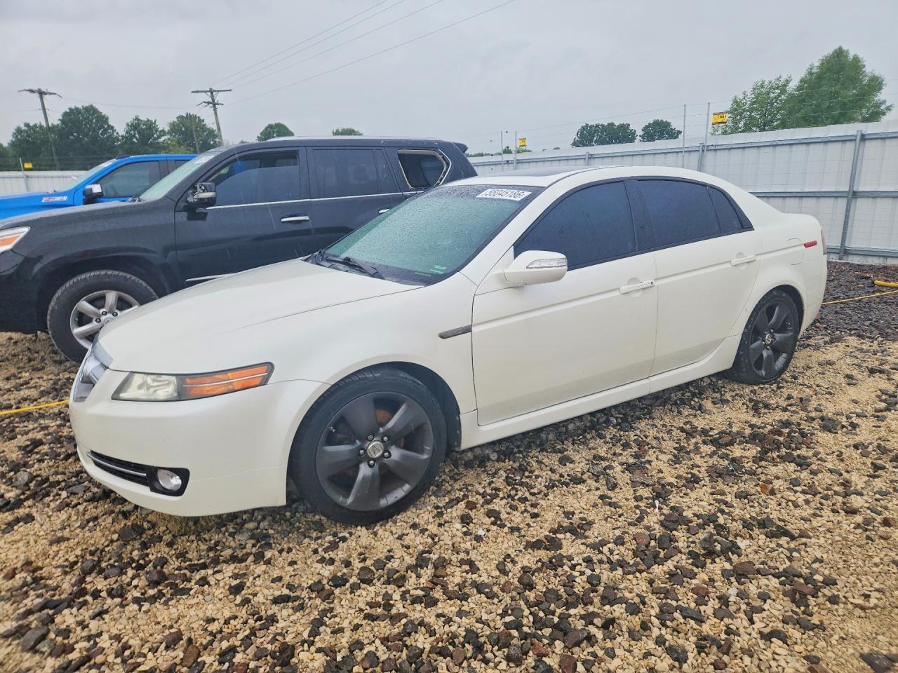 Salvage Acura TL Image