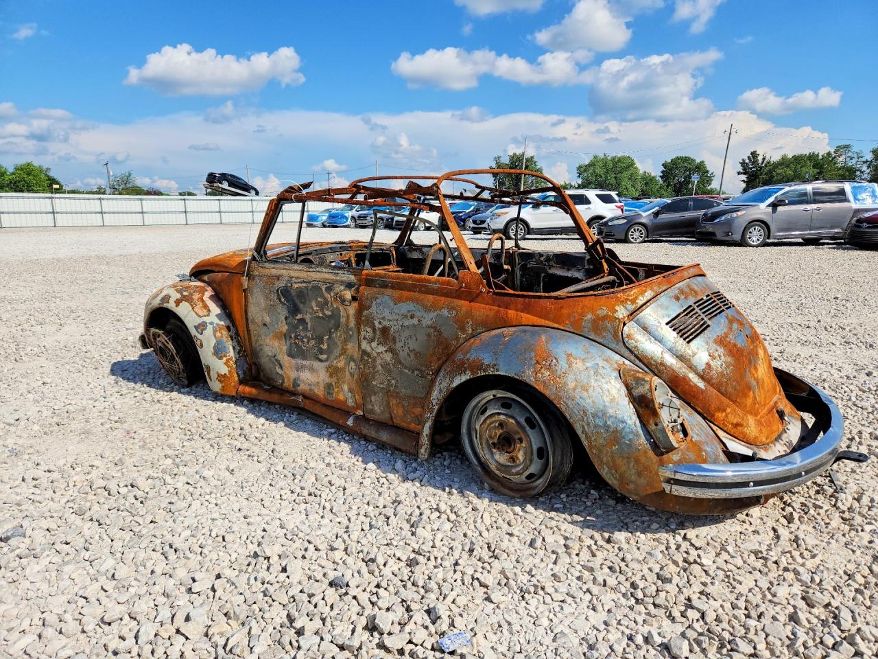 Volkswagen Beetle