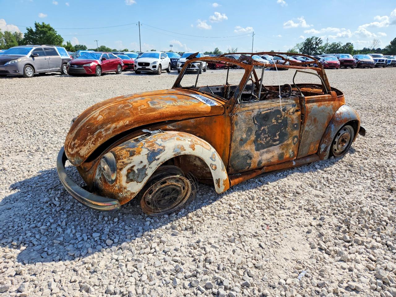 Salvage Volkswagen Beetle Image