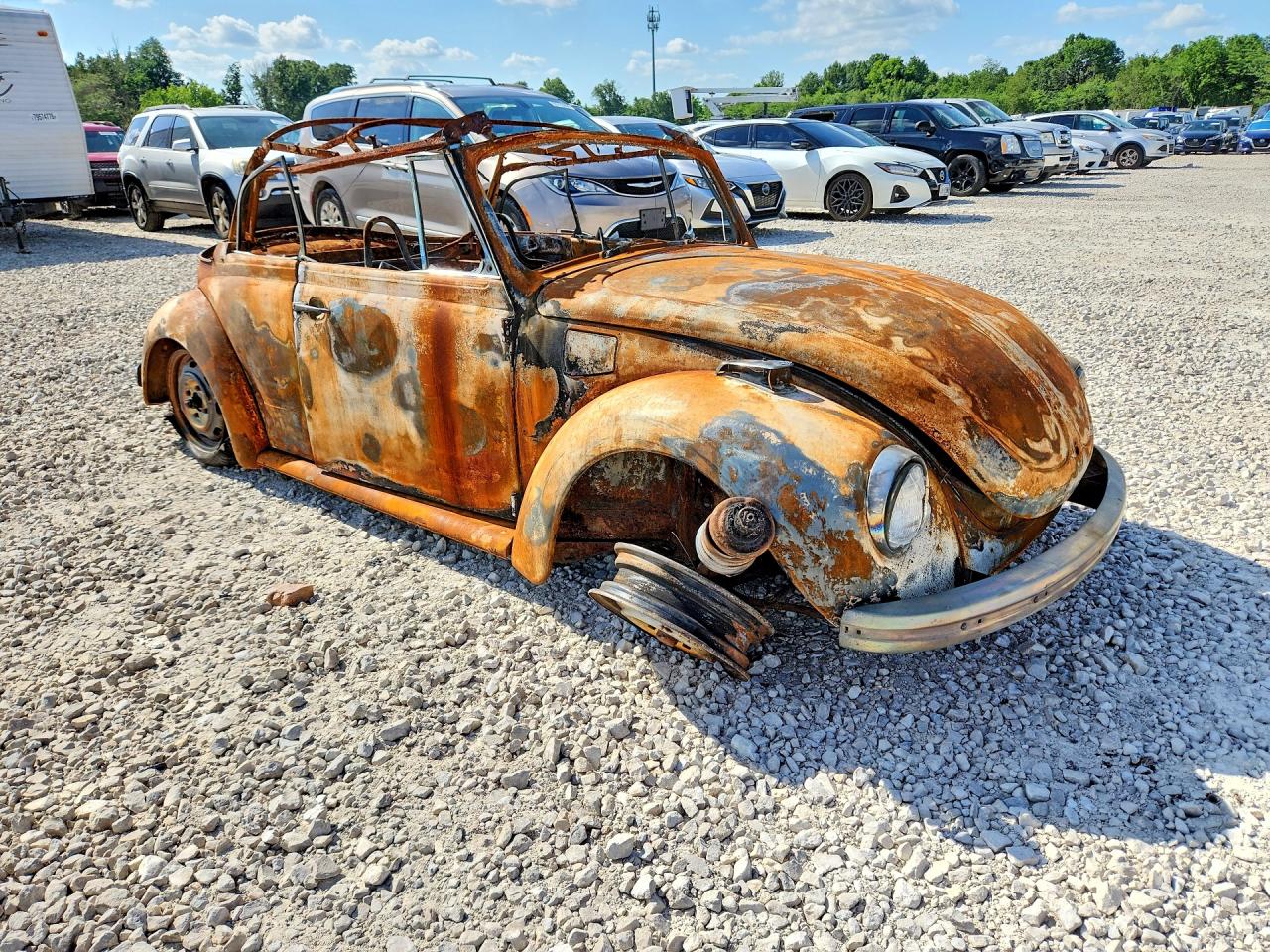 Volkswagen Beetle
