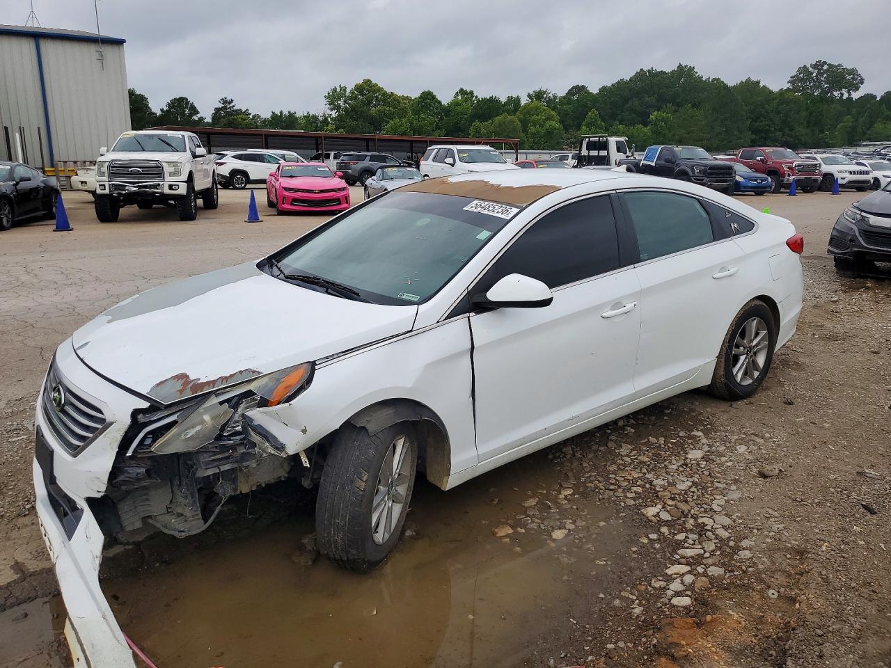 Salvage Hyundai SONATA Image