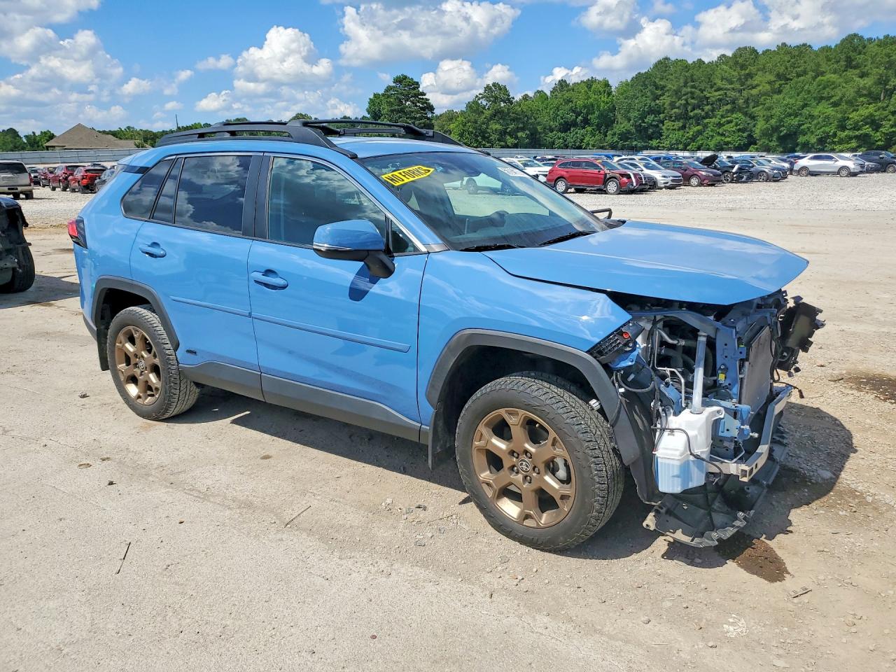 Toyota RAV4 Woodland Edition