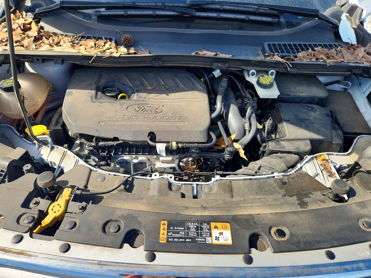 Ford Escape Se