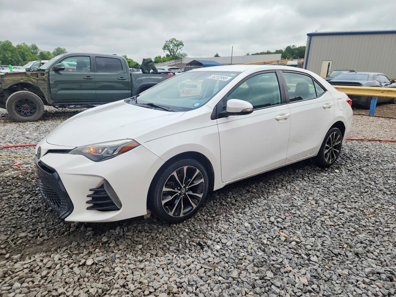 Salvage Toyota Corolla Image