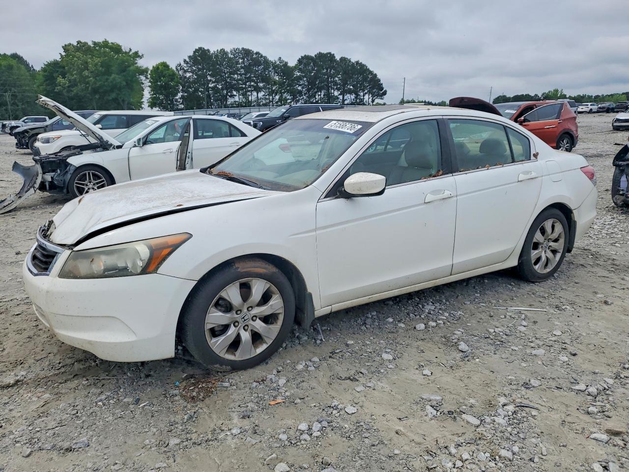 Salvage Honda Accord Image