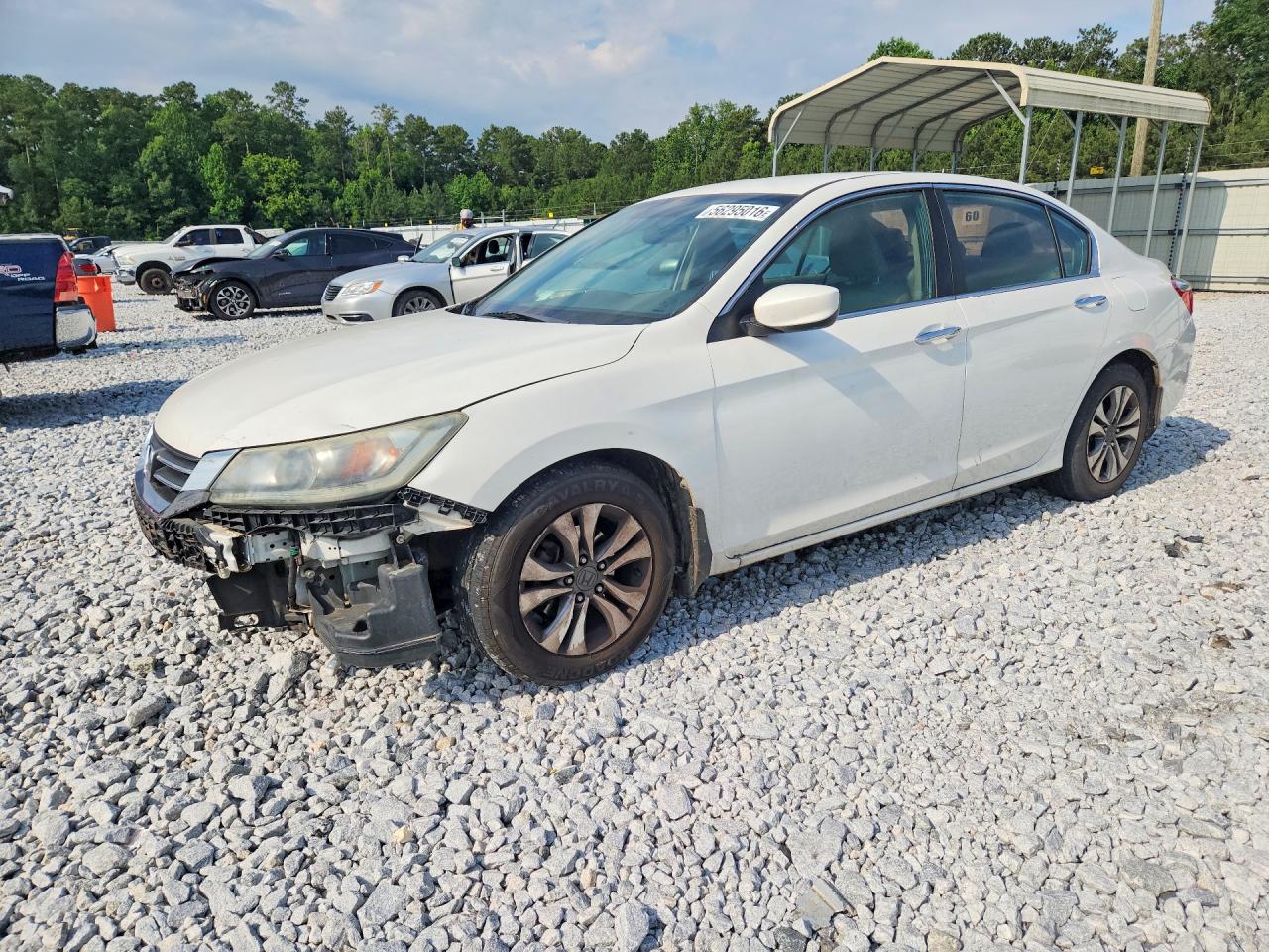 Salvage Honda Accord Image