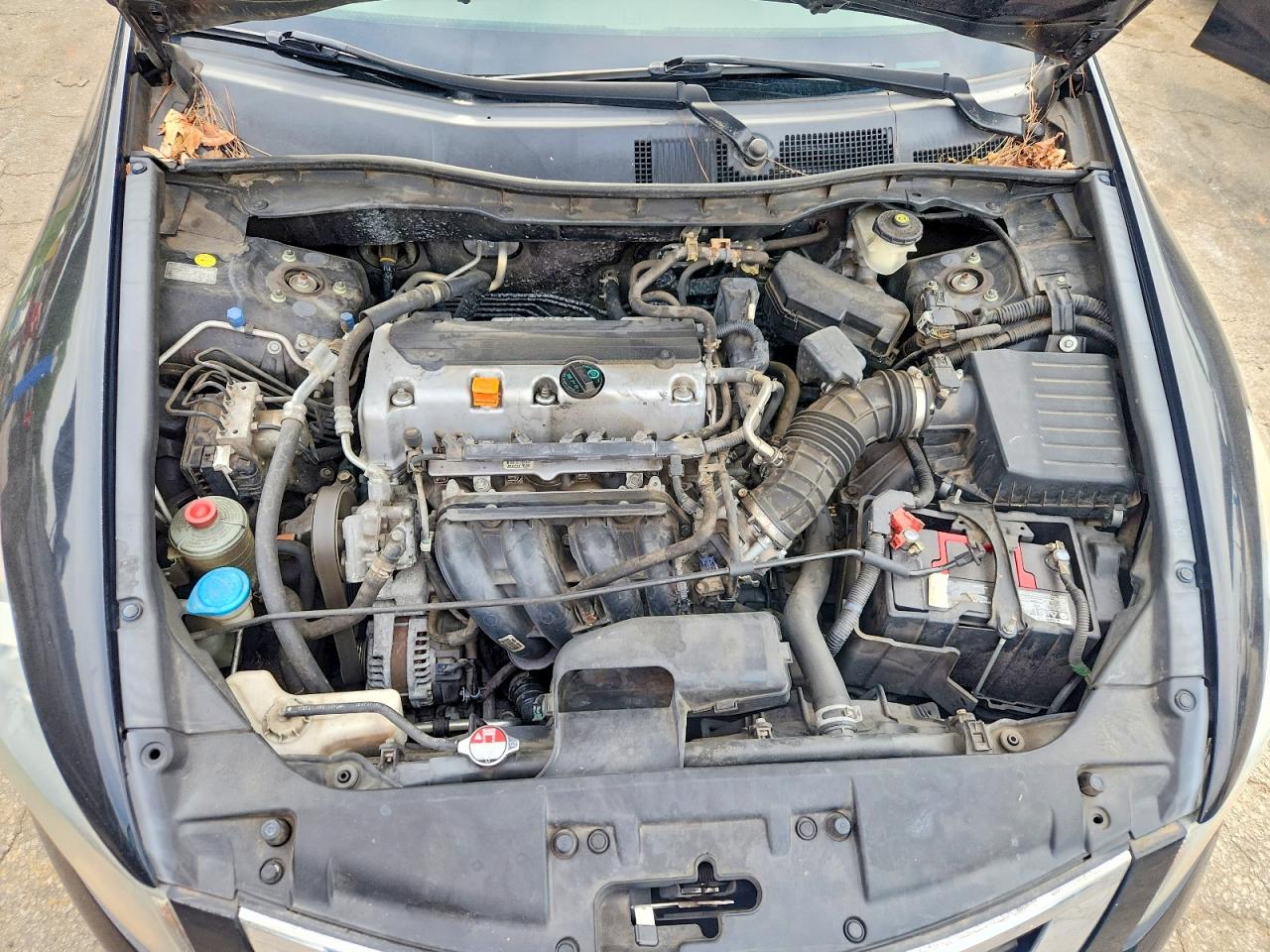 Honda Accord Lxp
