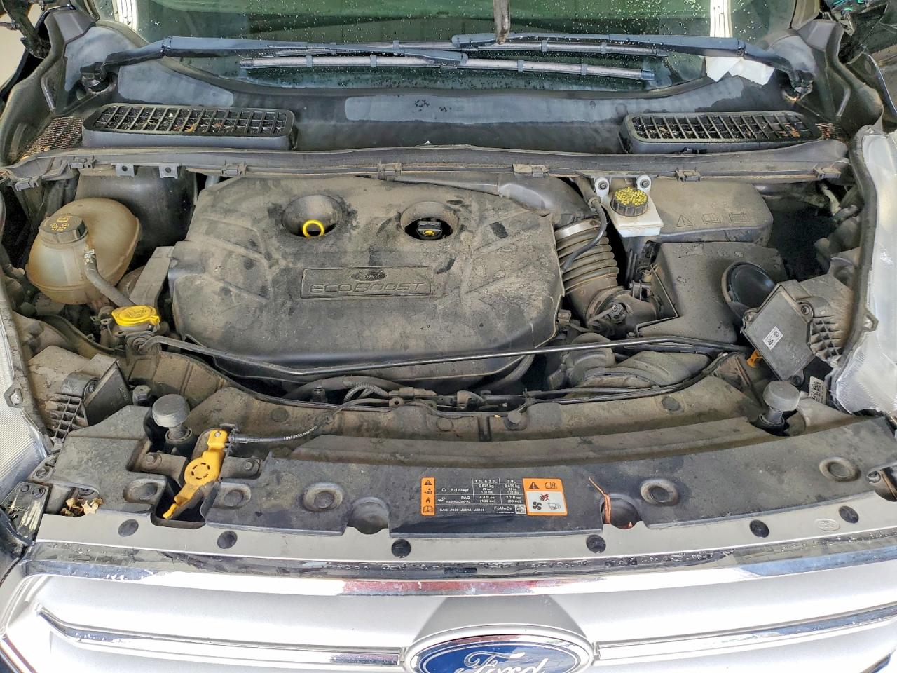 Ford Escape