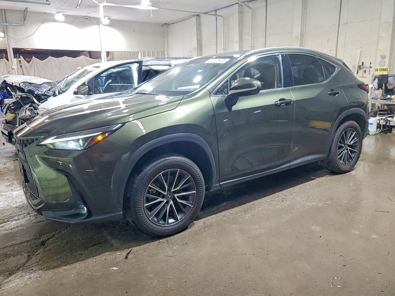 Salvage Lexus NX Image